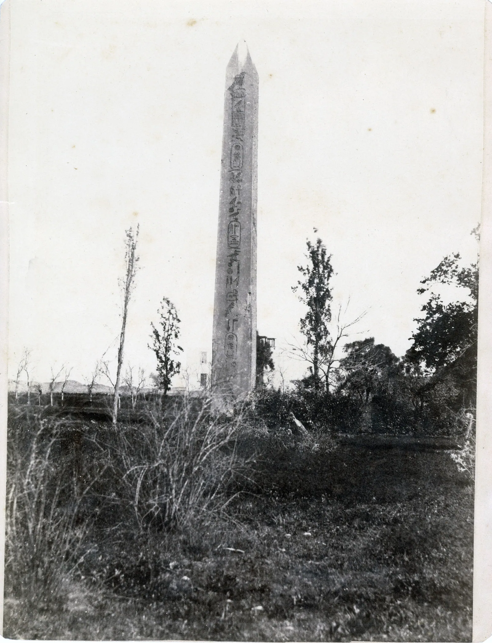 Obelisken i Heliopolis fotograferad omkring 1870 (Museo Egizios fotoarkiv i Turin), stående bland åkrarna ovanför det begravda templet åt Ra-Atum.