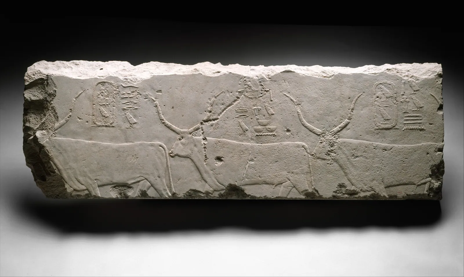 ”Cheops boskap”: en relief från ett av Cheops monument (ca 2551–2528 f.Kr.), funnen återanvänd som grundsten i Amenemhet I:s pyramidanläggning i Lisht vid Metropolitan Museums utgrävning 1920–22 (inv. 22.1.3). Mellersta rikets byggare bröt sten ur det förflutna.