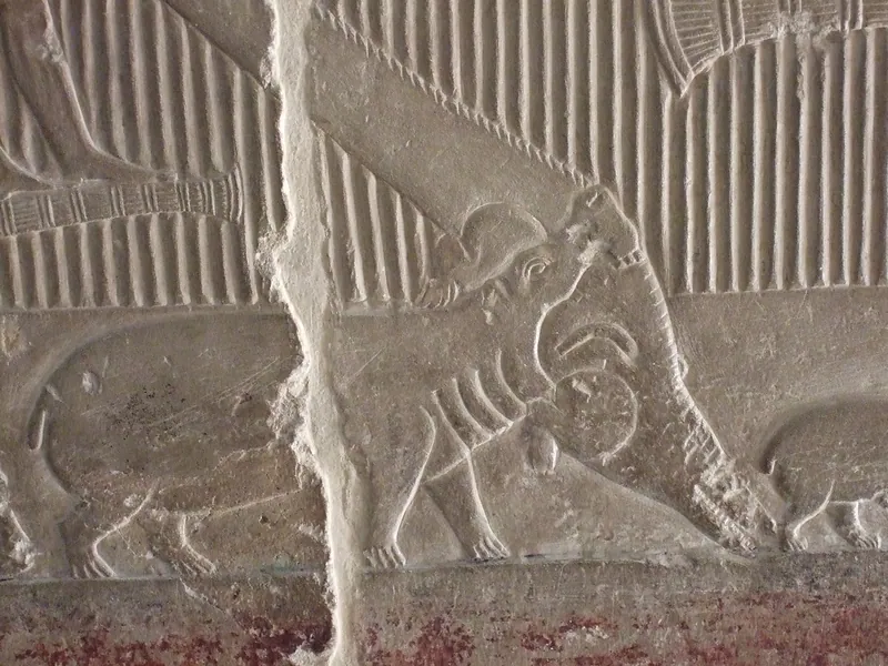Relief i Mererukas mastaba: en flodhäst som angriper en krokodil i papyrusträsket.