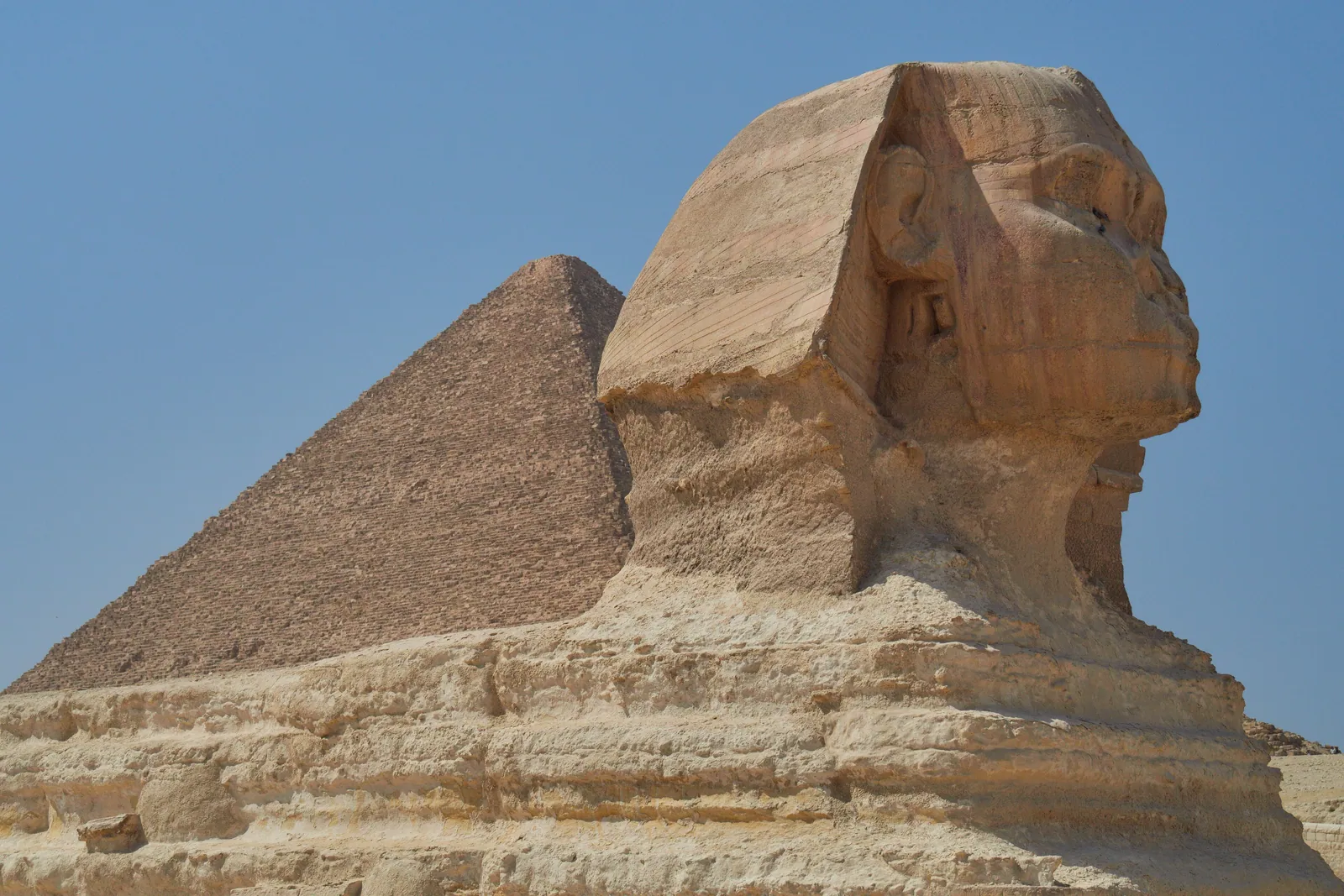 Sfinxen i profil mot Khafres pyramid. Huvudet är huggat ur de hårdare övre lagren i Mokattamkalkstenen och har vittrat mycket mindre än kroppens mjuka, djupt eroderade skikt.