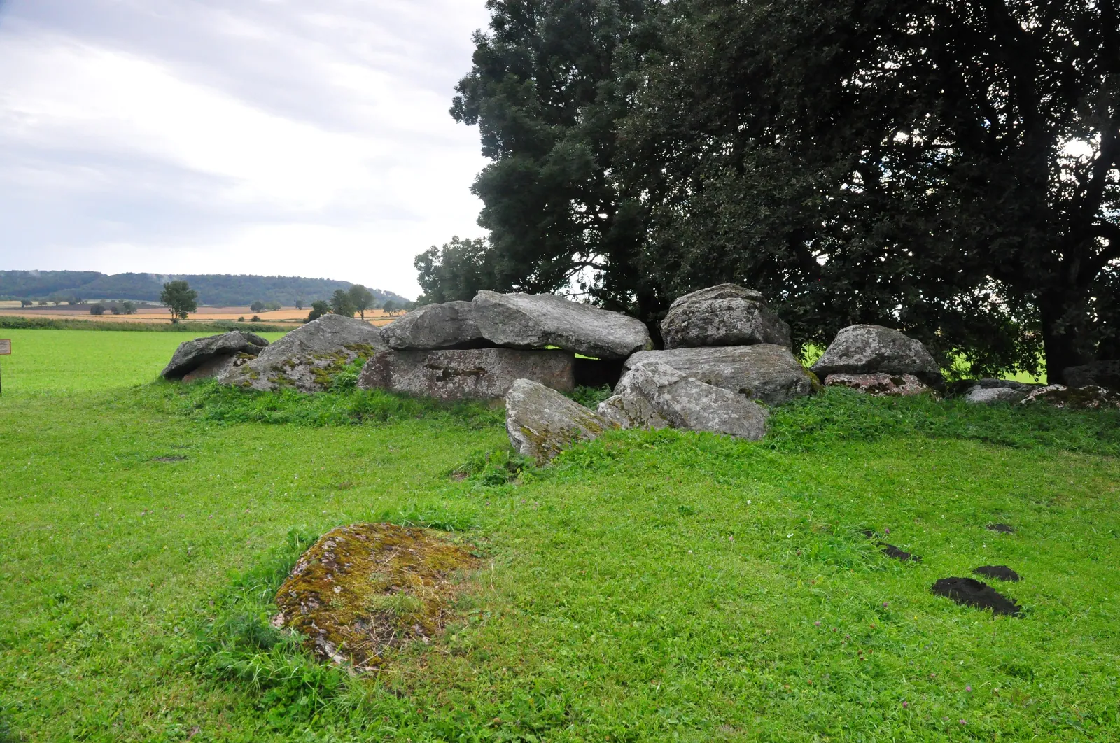 Ragnvalds grav (Karleby 58:1) i Falbygden i Västergötland, ofta kallad Sveriges största gånggrift. Trattbägarbönder byggde Falbygdens gånggrifter omkring 3300–3000 f.Kr. – samma århundraden som de första kungarna begravdes i Abydos.