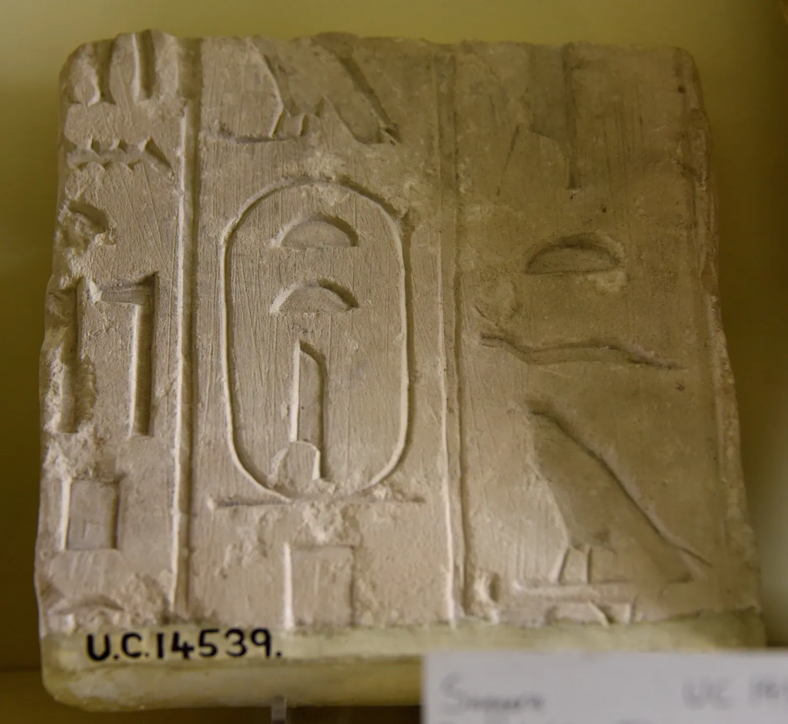 Ett väggfragment av kalksten från Tetis pyramid med hans kartusch och tre spalter pyramidtext (Petrie Museum, London). Sex av de 14 inskriftsprydda väggarna förstördes, och franska expeditioner har sedan 1950-talet samlat in tusentals fragment.